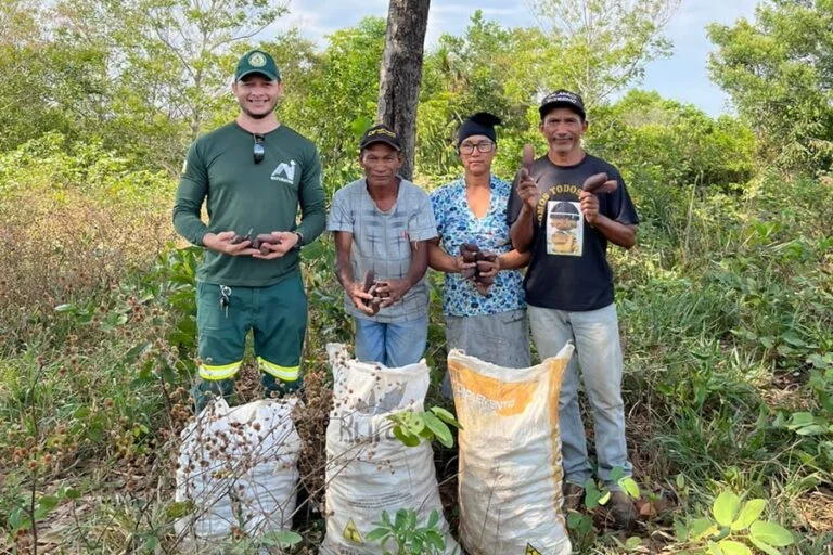 O jatobá é um dos produtos do Cerrado que torna possível a sociobioeconomia do bioma | Foto: Arquivo pessoal